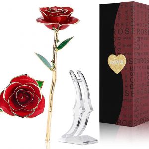 24K Gold Rose Flower,Forever Flower Dipped Real Rose with Transparent Stand Best Romantic Gift Ideal for Girlfriend wife Women On Valentines Day,Mothers Day,Anniversary,Birthday Gifts Rose-Red