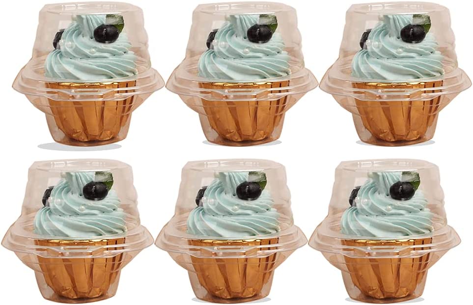 61qVuuP5bS._AC_SL1000_.jpg